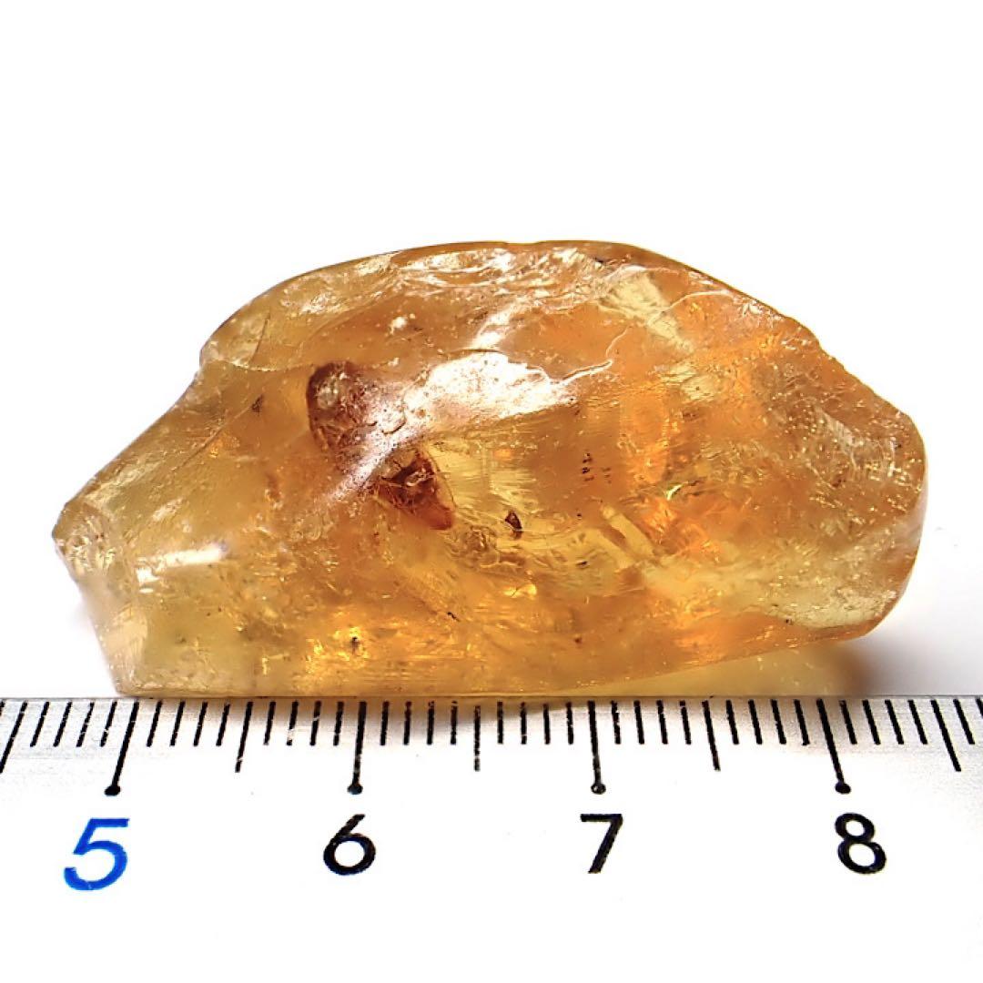 【オーストラリア産】ゴキブリ入り！天然琥珀(アンバー)