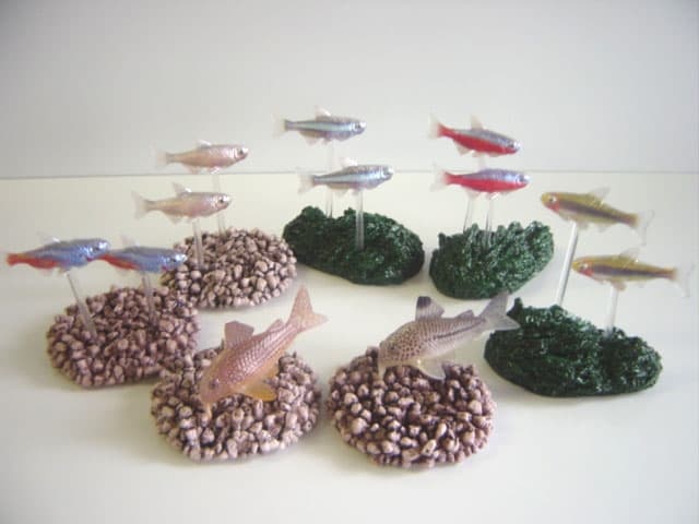 ★Gfg23GzデジタルグレードDG熱帯魚フルコンプ全15種