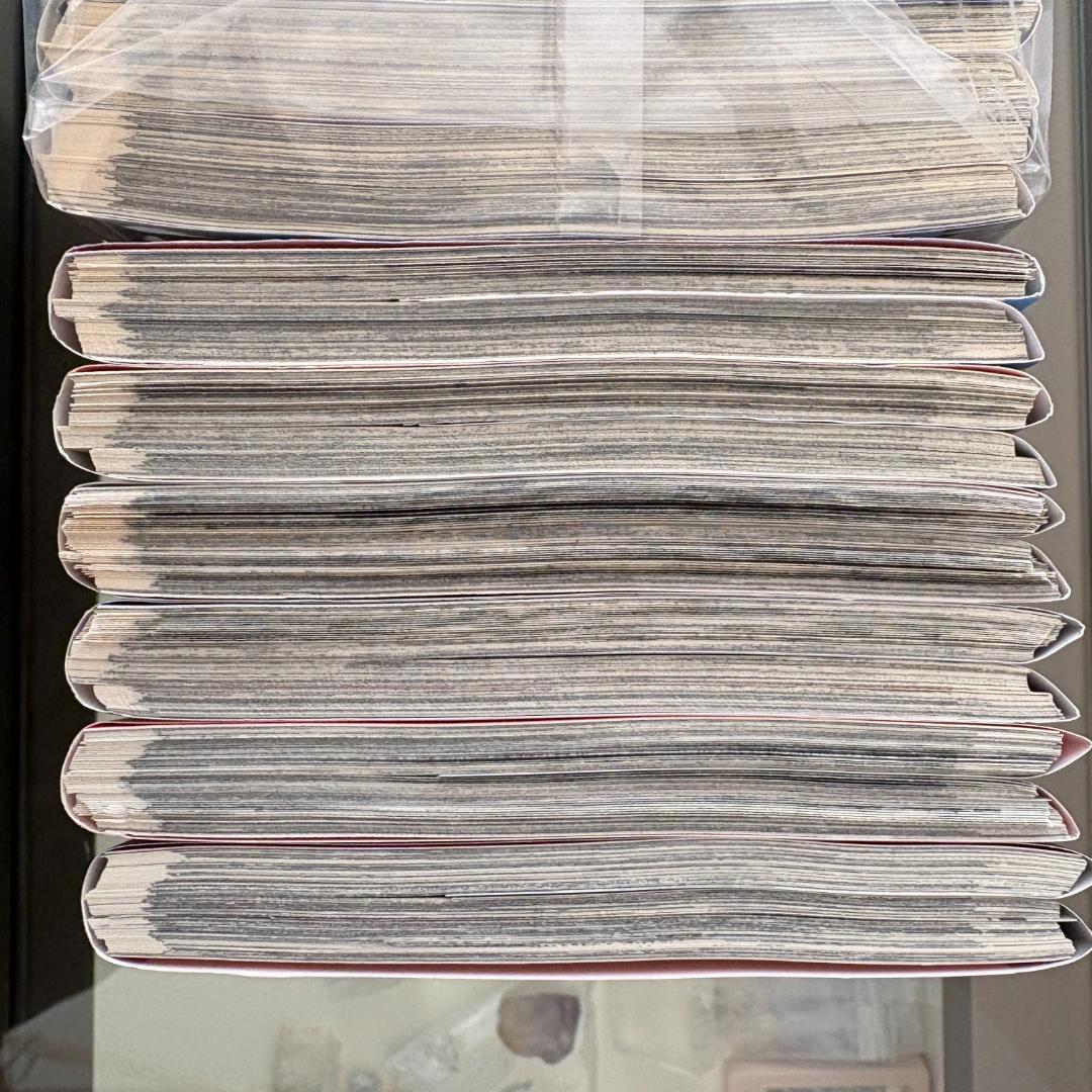 【裁断済・送料込】BLUE GIANT ブルージャイアント 全巻セット 全36冊