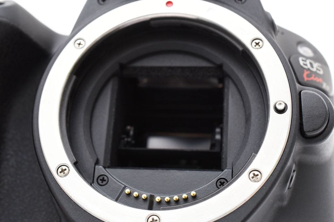 Canon EOS Kiss X9標準&望遠&単焦点トリプルレンズセット