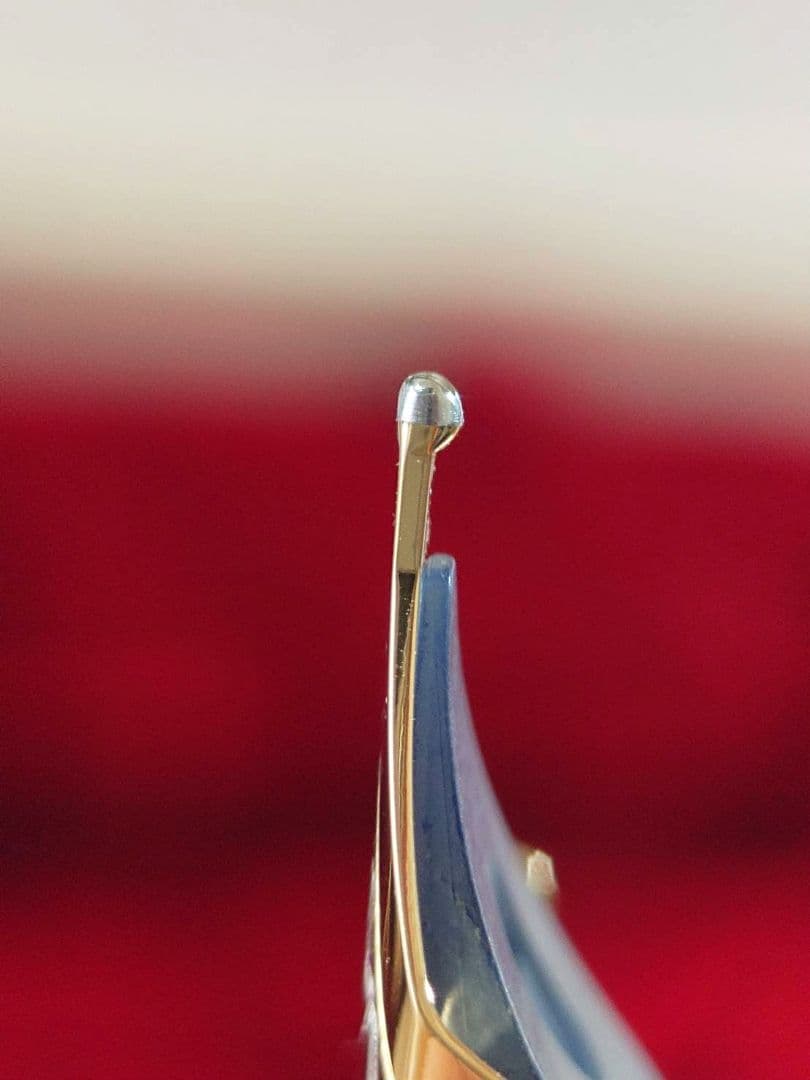 専用です　エボナイト万年筆　漆塗り　PILOTカスタム845