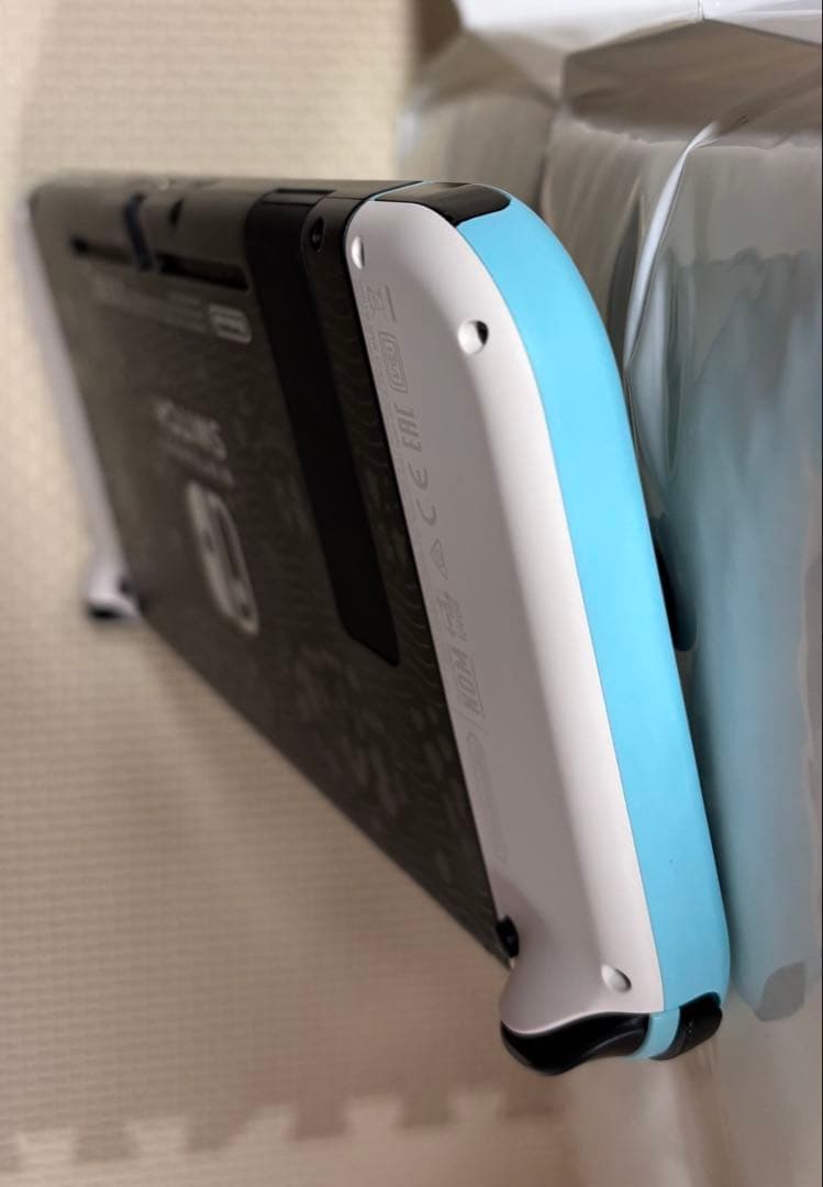 も*4様 Nintendo Switch 本体 あつまれ　どうぶつの森　セット