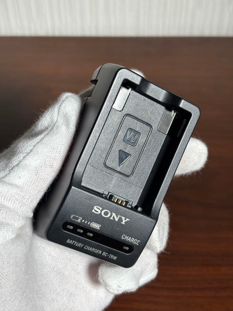 【おまけ付】SONY α6100 標準ズームレンズセット SDカード充電器セット