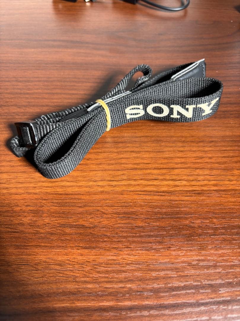 【おまけ付】SONY α6100 標準ズームレンズセット SDカード充電器セット