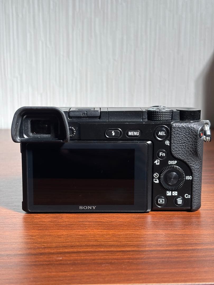 【おまけ付】SONY α6100 標準ズームレンズセット SDカード充電器セット