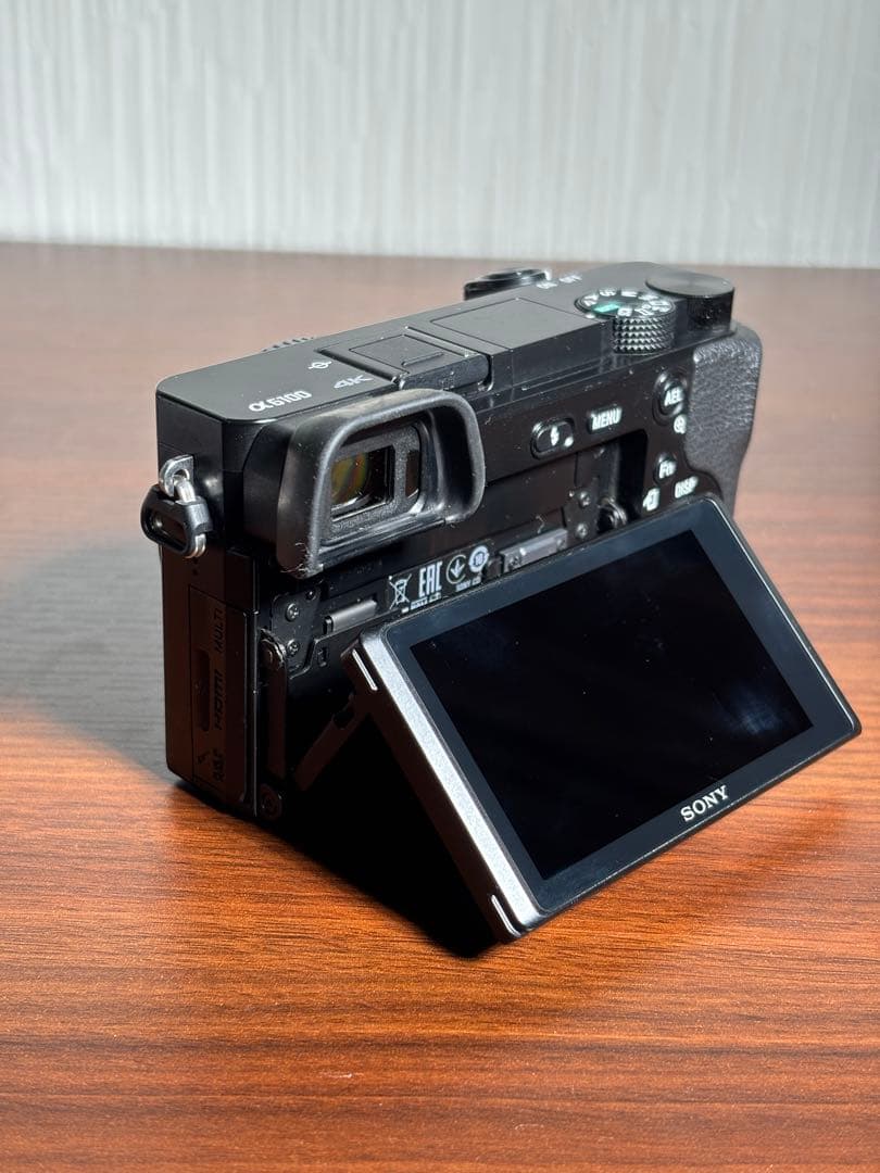 【おまけ付】SONY α6100 標準ズームレンズセット SDカード充電器セット