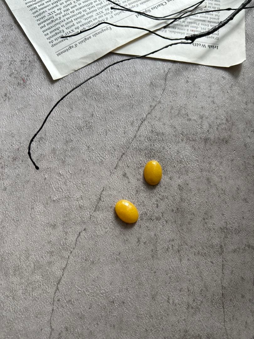 Queen様　order髪飾り♡ イヤリング８種とセット