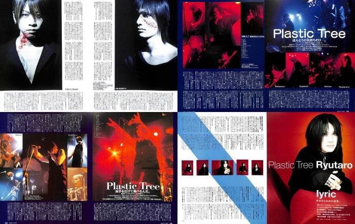 Plastic Tree 有村竜太朗 雑誌 切り抜き 302P ◆インディーズ