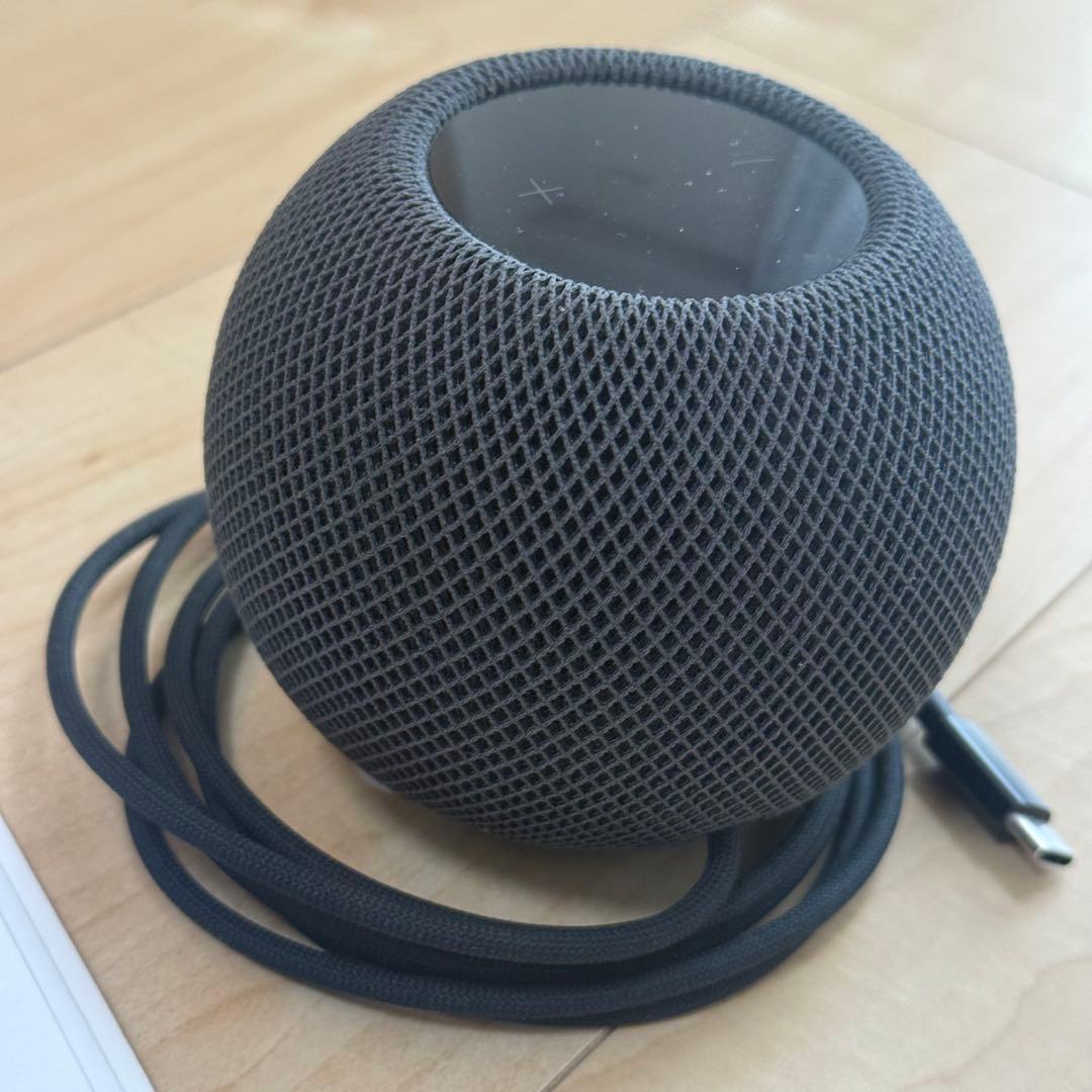 Apple Pod mini 純正 スペースグレイ