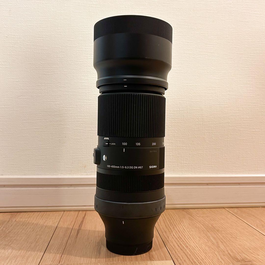 Eマウント SIGMA 100-400mm F5-6.3 DG DN OS