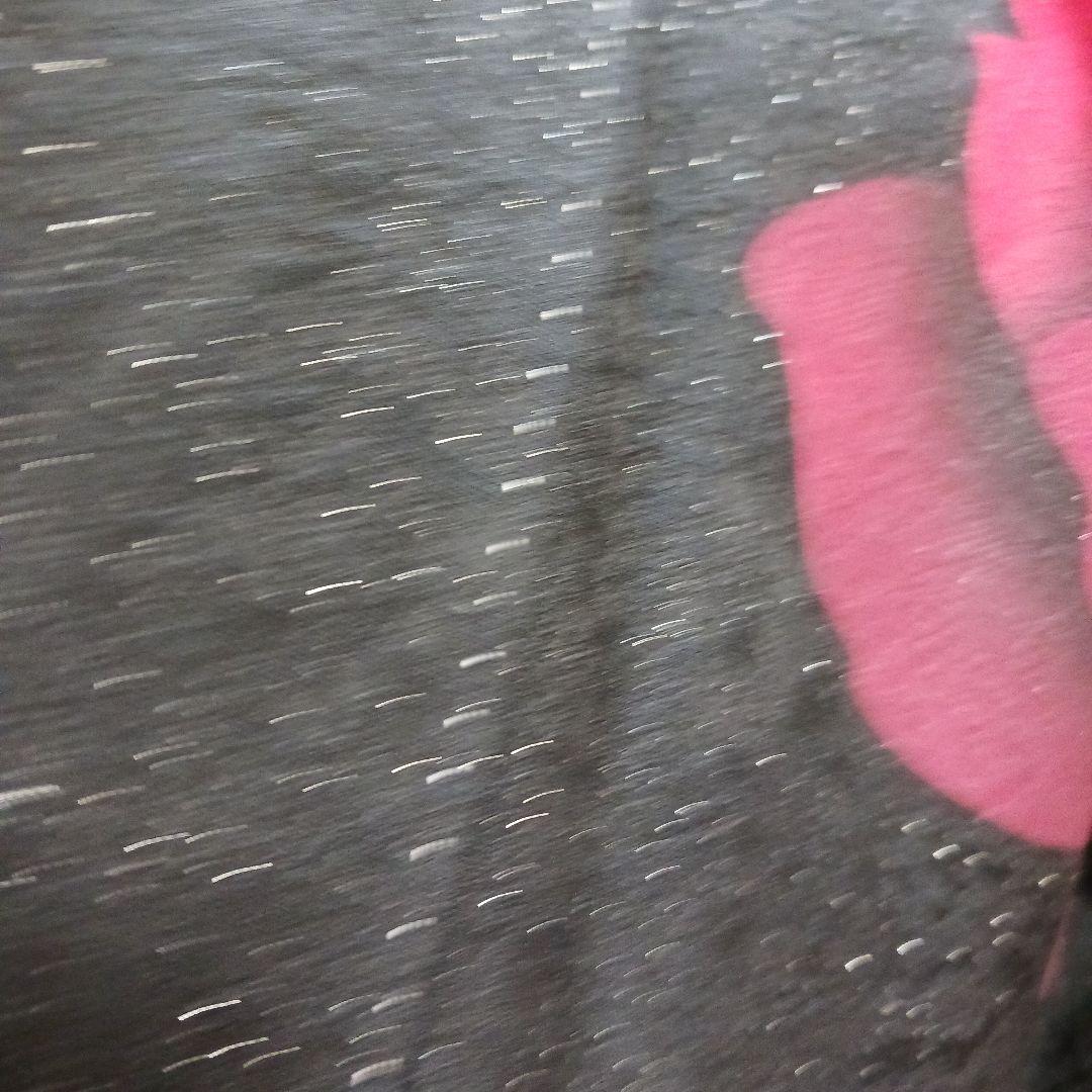 シンプル薔薇　振袖フルセット