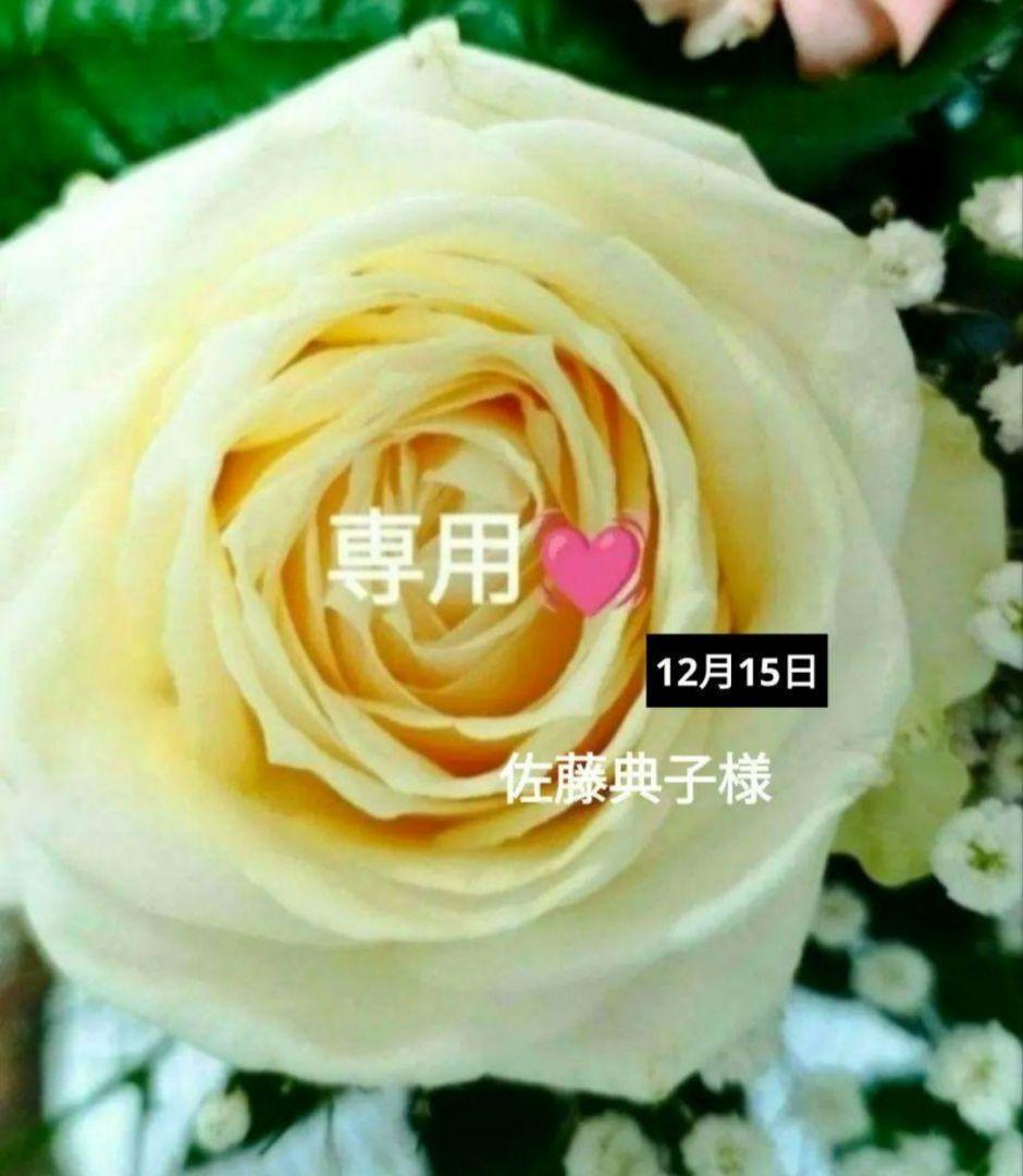 【佐藤典子❤】ご希望商品✨️