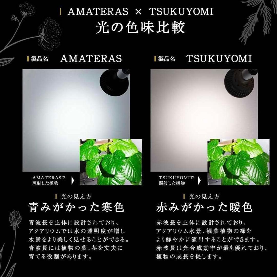 barrel TSUKUYOMI (ツクヨミ) LED 20W+ソケット付き