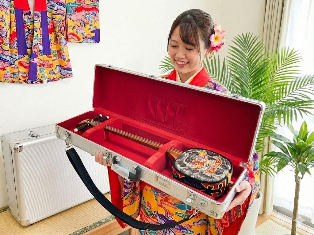 新品未使用(送料無料)11.980円三線専用N肩紐付き一丁入アルミハードケース