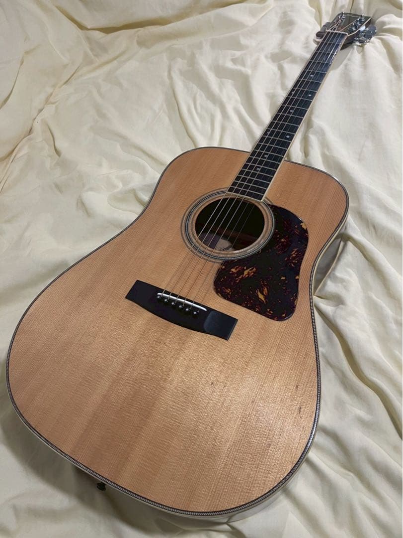 Jagard JD-25 Gallagher 寺田楽器製