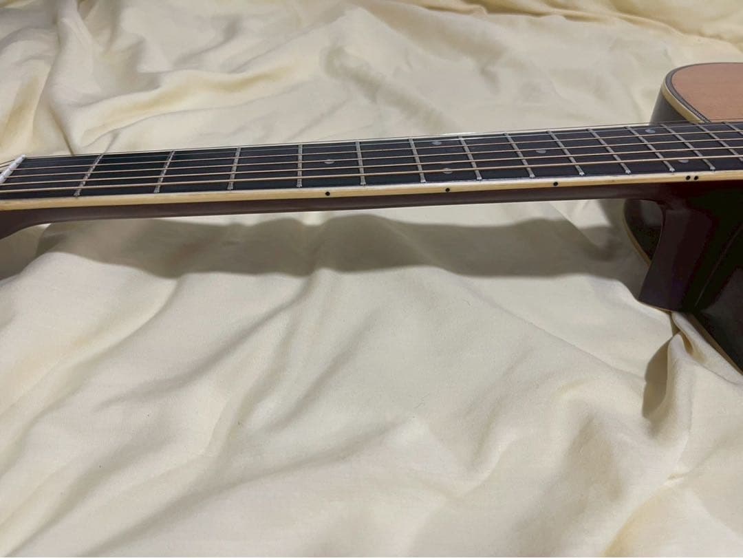 Jagard JD-25 Gallagher 寺田楽器製