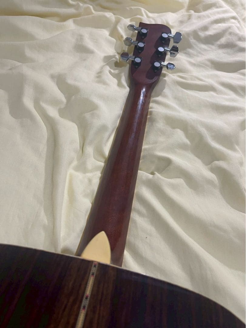 Jagard JD-25 Gallagher 寺田楽器製