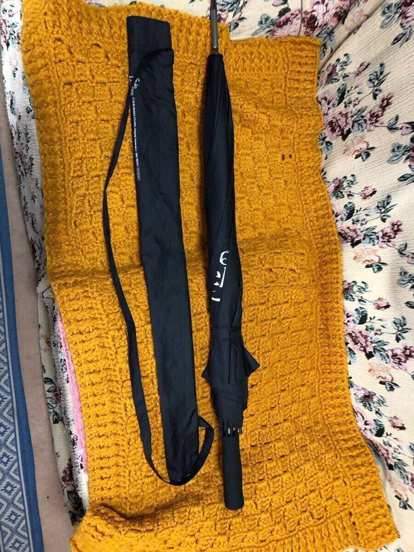 当選人数30名 俺だけレベルアップな件 傘 ソロレベリング