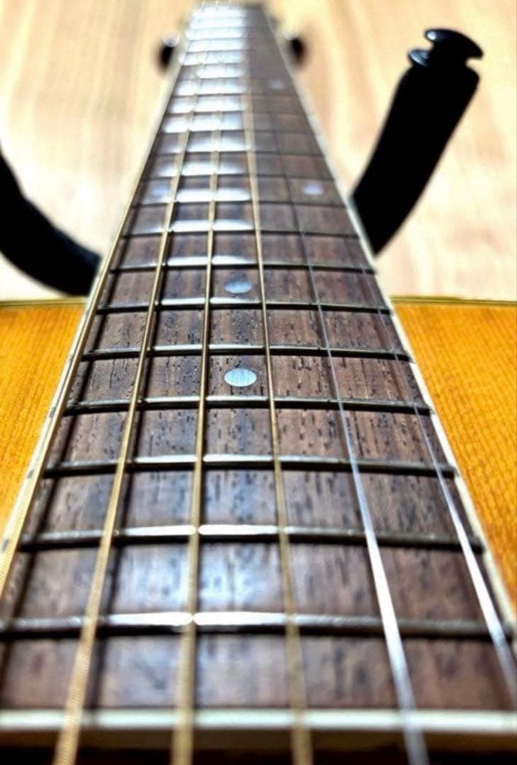 【1/4まで特価】ARIA W-250 調整済み　牛骨サドル　JV ソフトケース