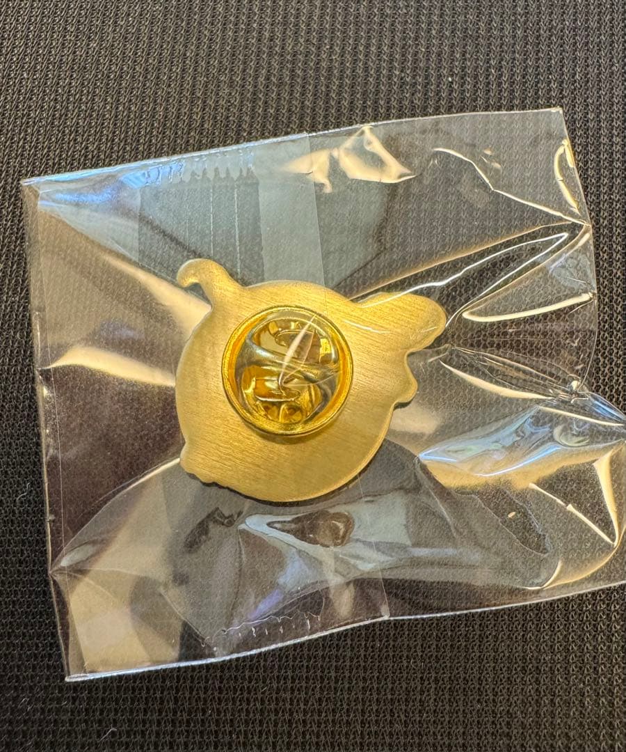 EXPO2025 大阪関西万博 関西パビリオン 恐竜王国福井 ピンバッジ②