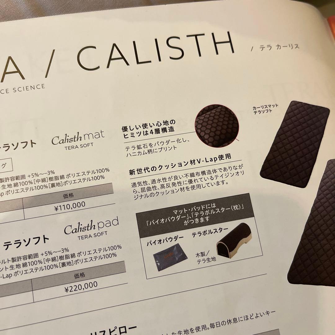 カーリスパッド　テラソフト