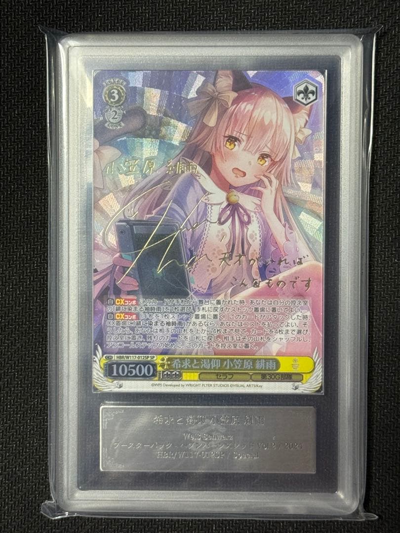 ヴァイス　ヘブンバーンズレッドvol2　希求と渇仰 小笠原緋雨 ARS10+