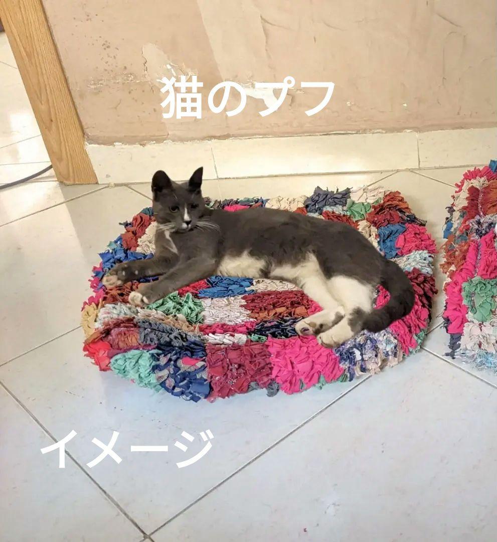 猫のプフ-ボシャルウィットプフ-No.10