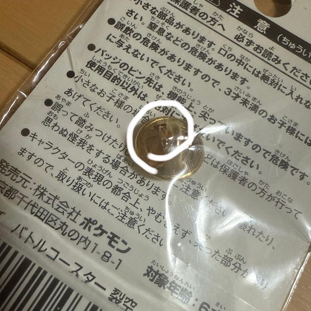 ポケパーク ピンズ バトルコースター 裂空 デオキシス&レックウザ