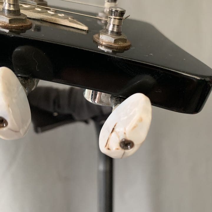 渡*輝様 Italia Guitars Mondial