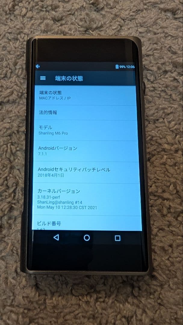 【美品】SHANLING M6 PRO 専用ケース付き