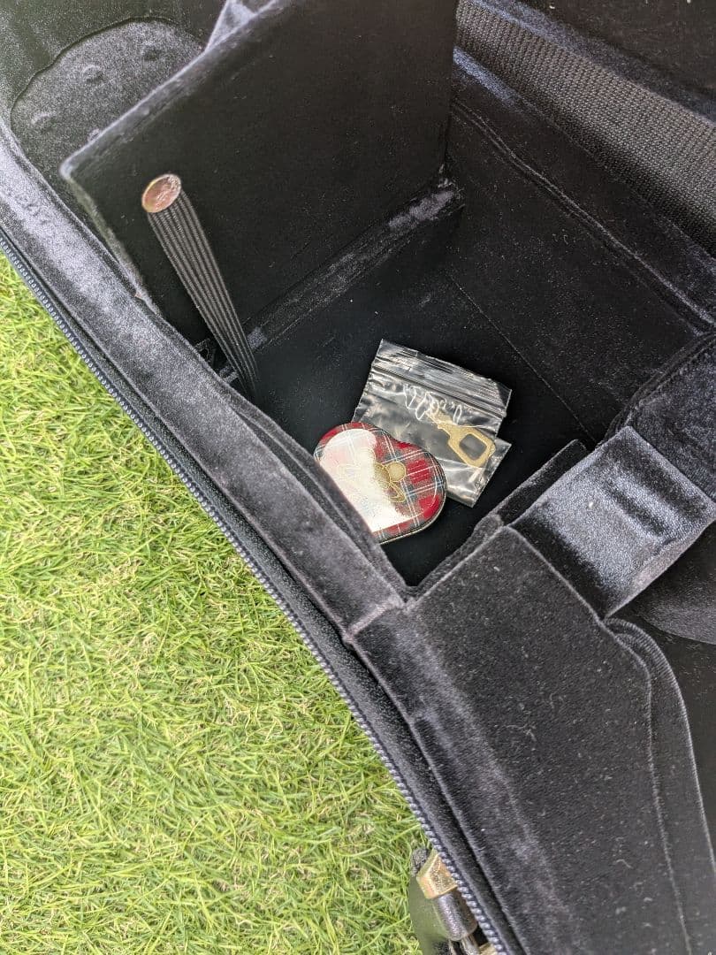 ◆美品・送料無料◆Super light スーパーライト マンドリンケース 黒