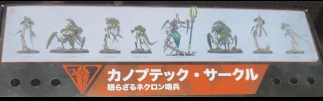 ネクロン　キルチーム　ウォーハンマー　トゥームワールド