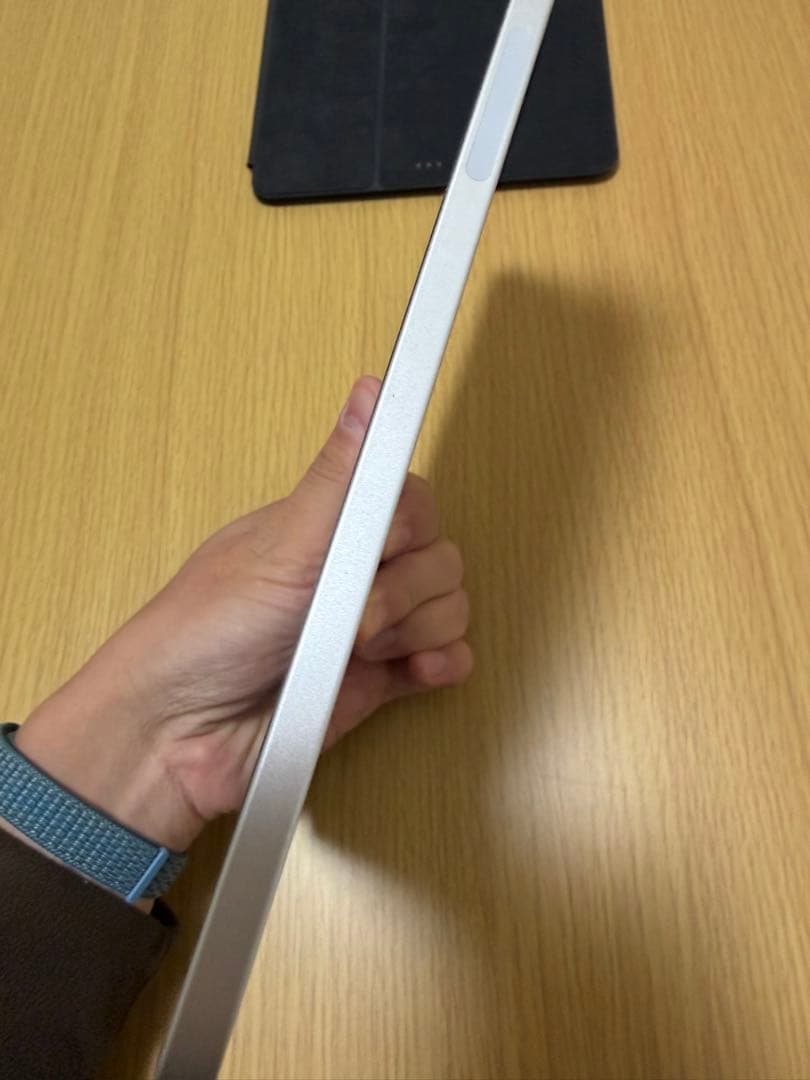 【Chaser Dream】iPad pro11インチ256GB 第2世代