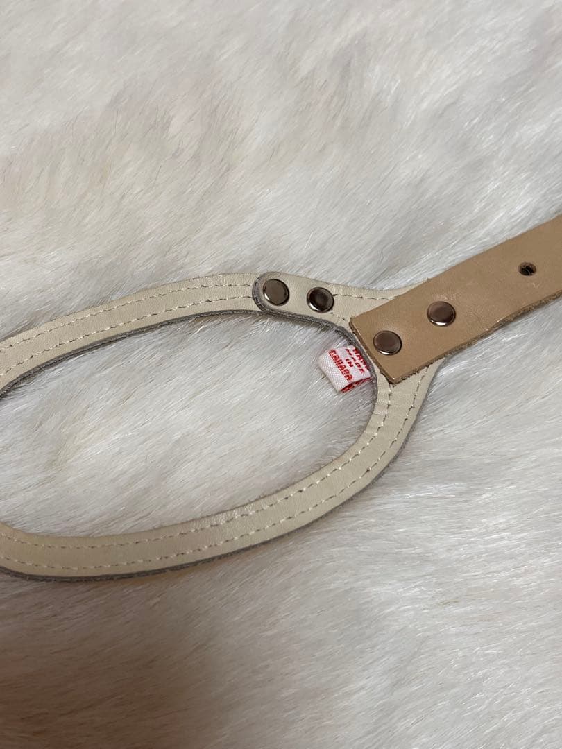 BUDDY BELT 3.5 オレンジラインストーン付き