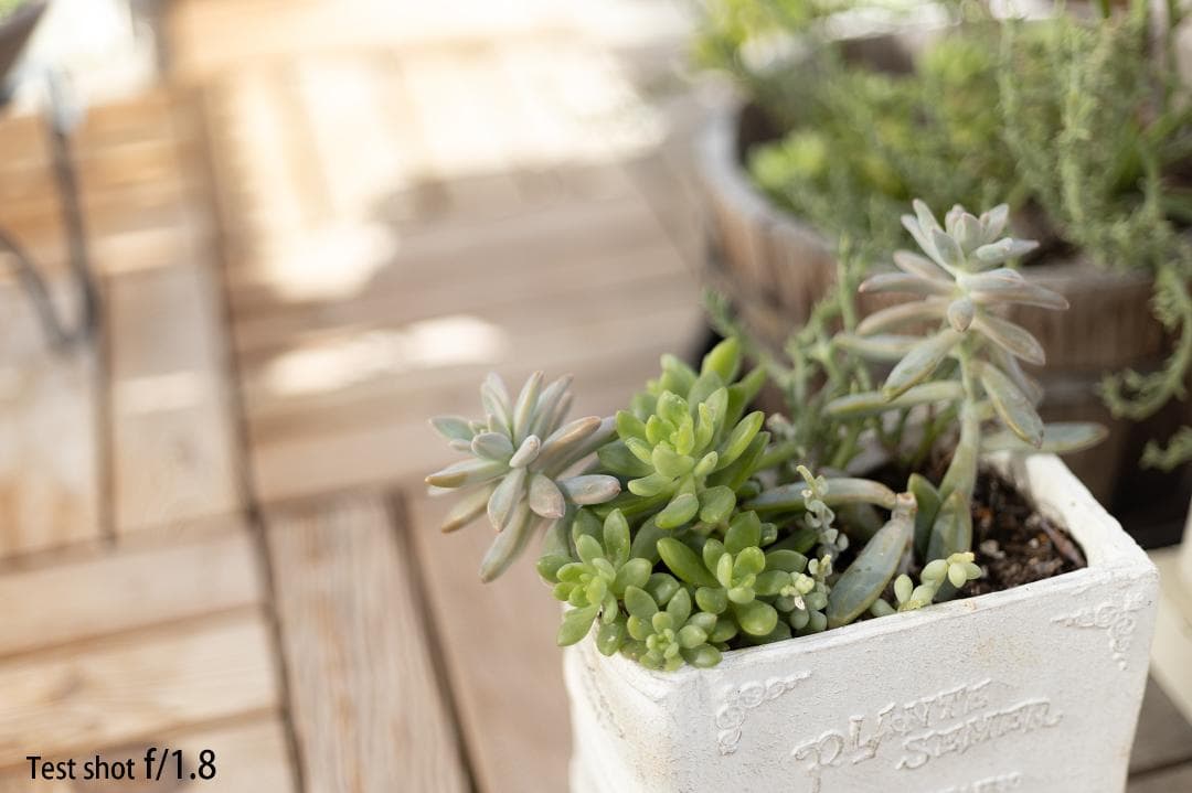 【美品】キヤノン Canon EF 50mm F1.8 II