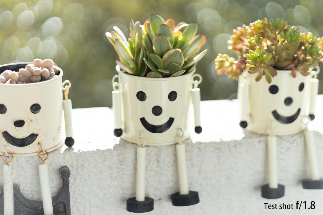 【美品】キヤノン Canon EF 50mm F1.8 II