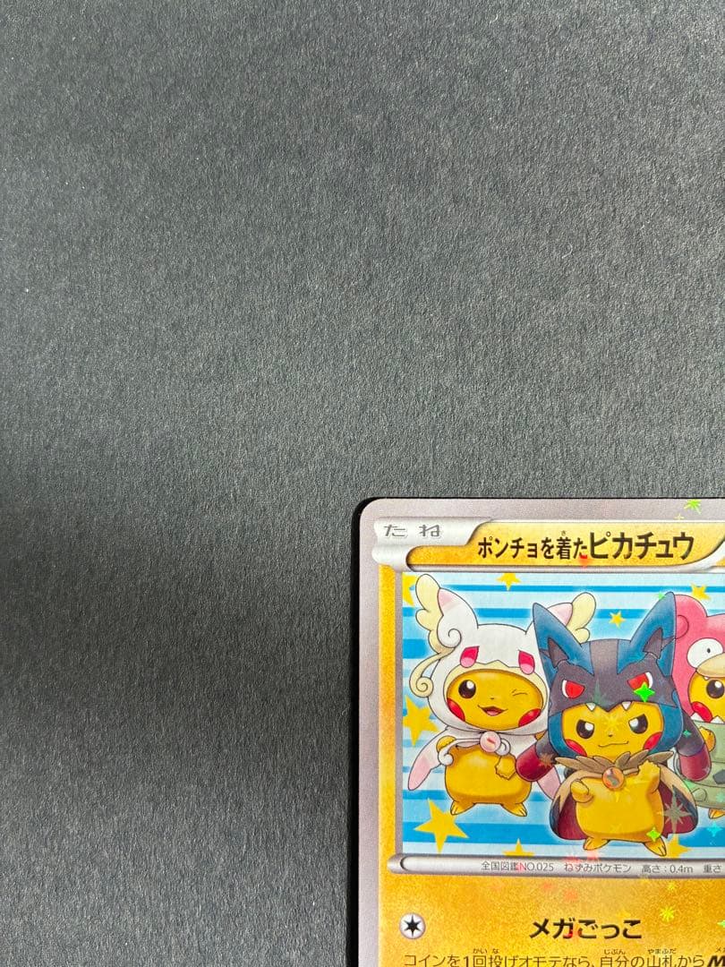 ポンチョを着たピカチュウ みく@ぷろふ確認お願いします専用