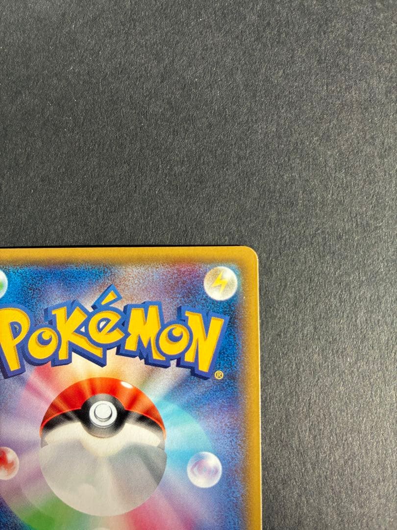 ポンチョを着たピカチュウ みく@ぷろふ確認お願いします専用