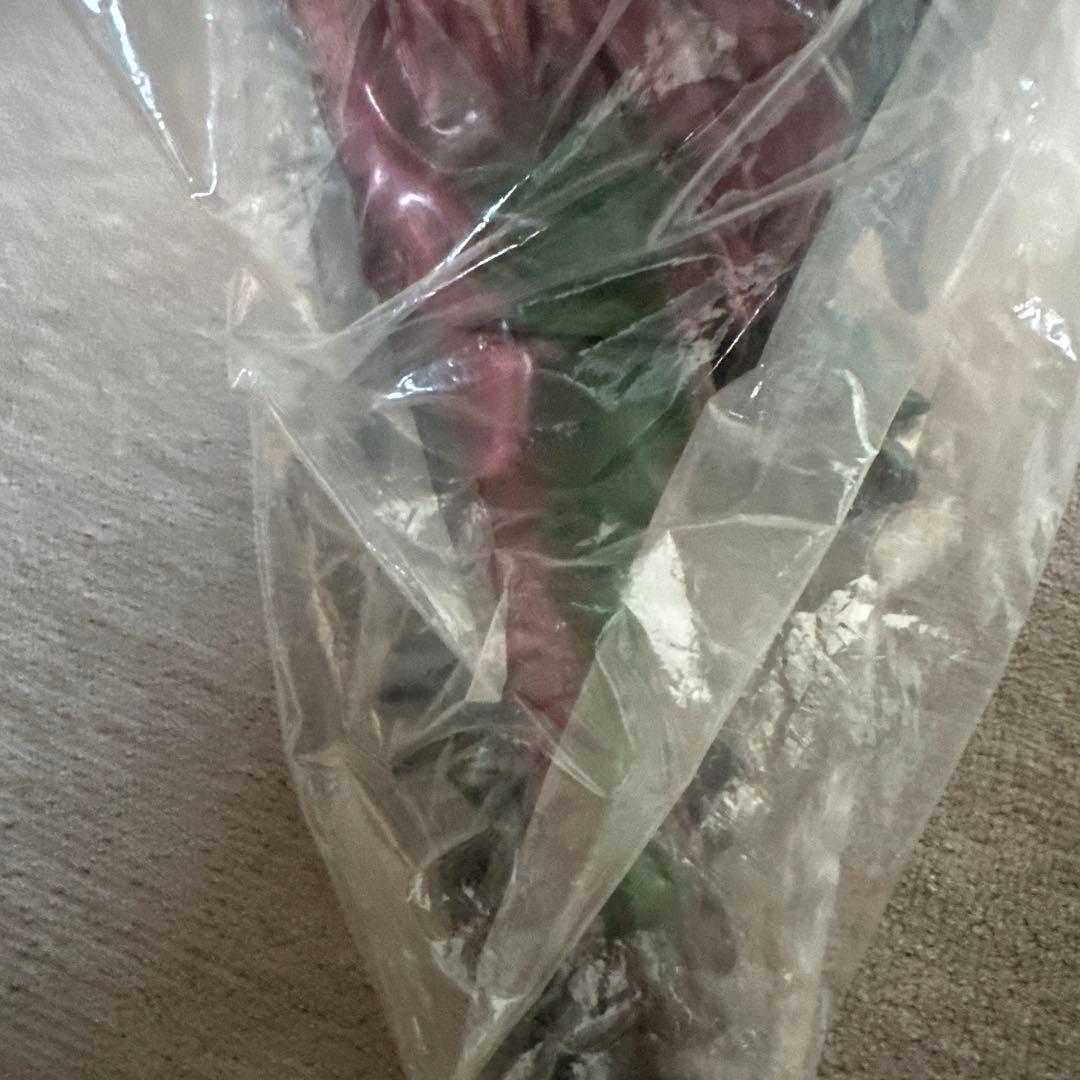 未開封品　マーミット ジャイアント　ヘドラ こどもの時代館　限定30体