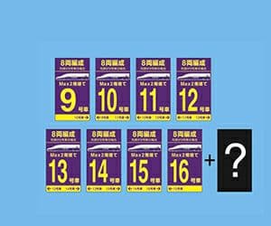 JR東日本 上越新幹線 E4系 ラストラン記念 ホーム標ステッカー ９枚セットB