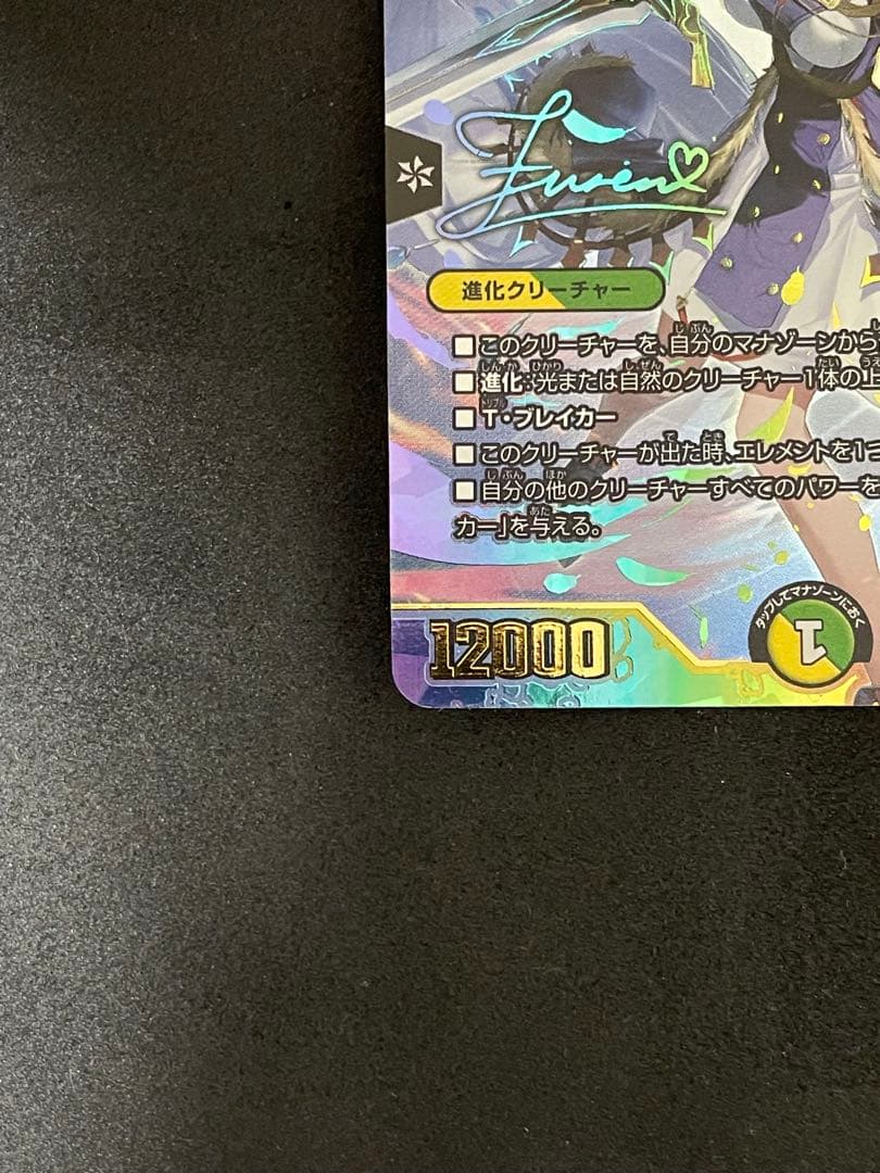 聖霊龍王メルヴェイユ サイン