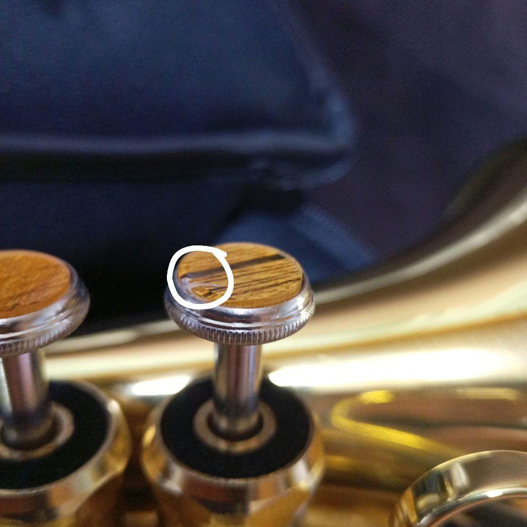 C管 ポケットランペット キャロルブラス QueenBrassサイレントブラス付