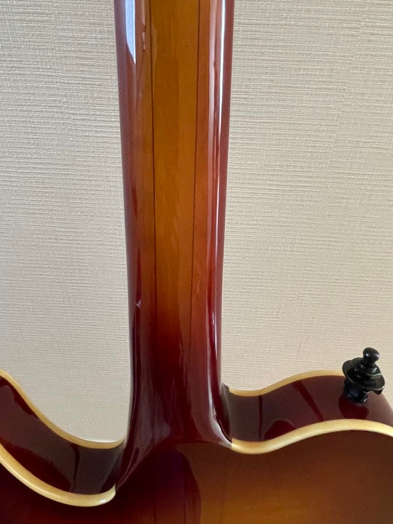 はちわれ様用絶版プレテクTL700deluxeテレキャスタイプ スルーネックエレ