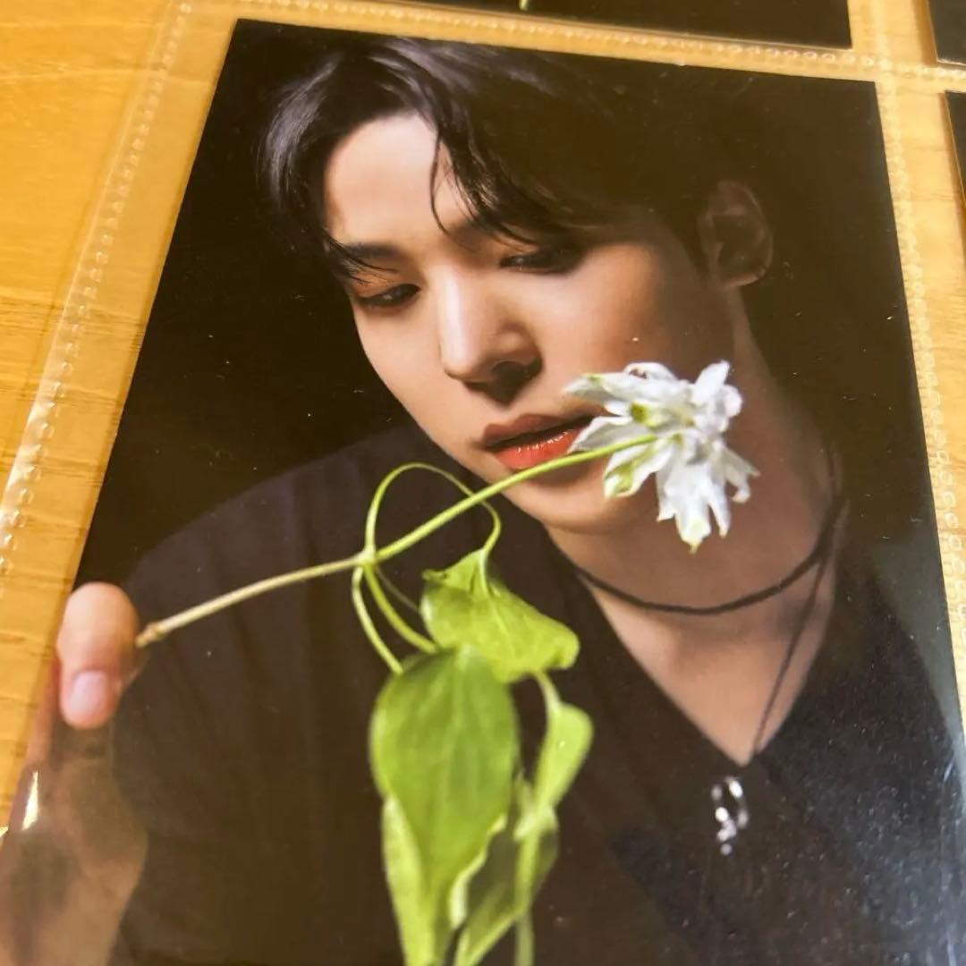 ATEEZ scawaii ポストカード コンプ 8枚セット