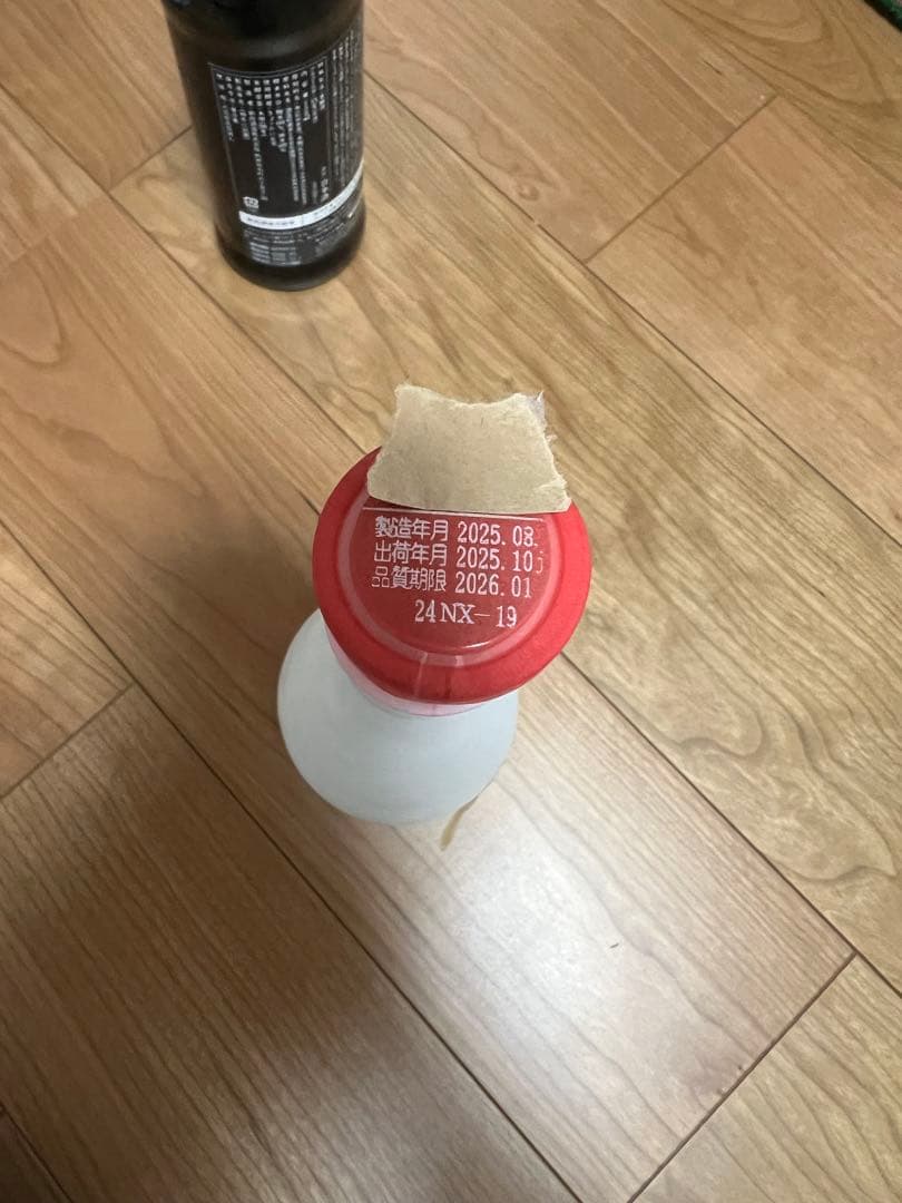 新政　陽乃鳥　no.6 X