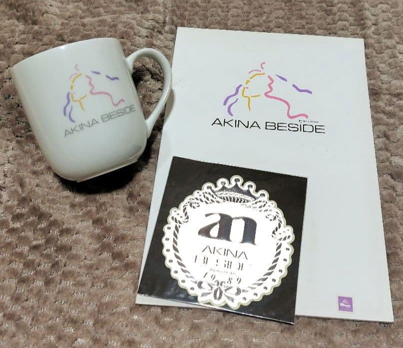 中森明菜 1989AKINA BESIDEグッズセット