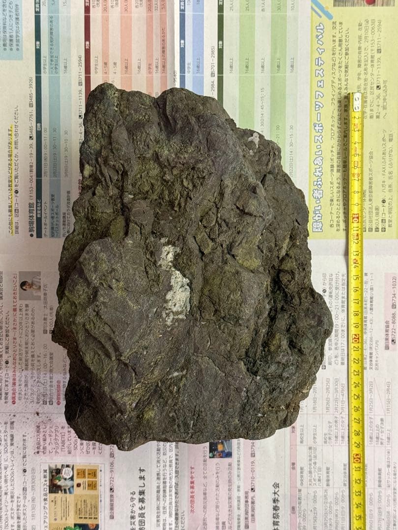 ADA 万天石　大1個です