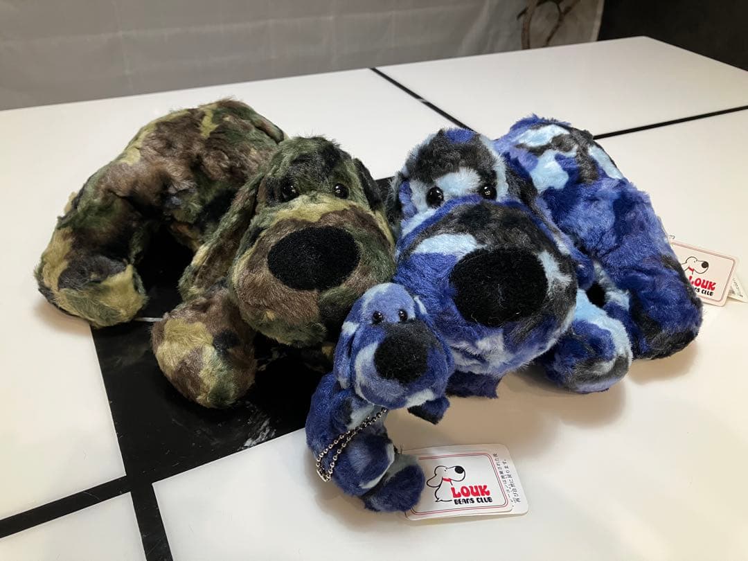 ★★ SONGです★★ 子犬のるーくL　カモフラフィールド