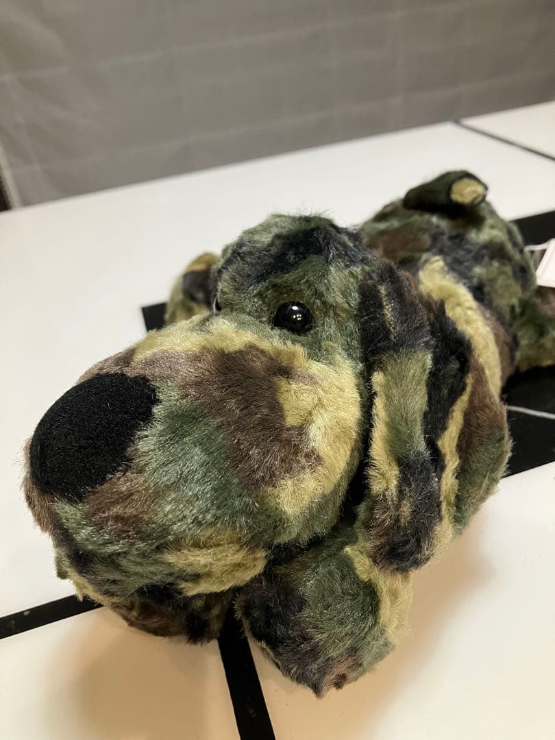 ★★ SONGです★★ 子犬のるーくL　カモフラフィールド