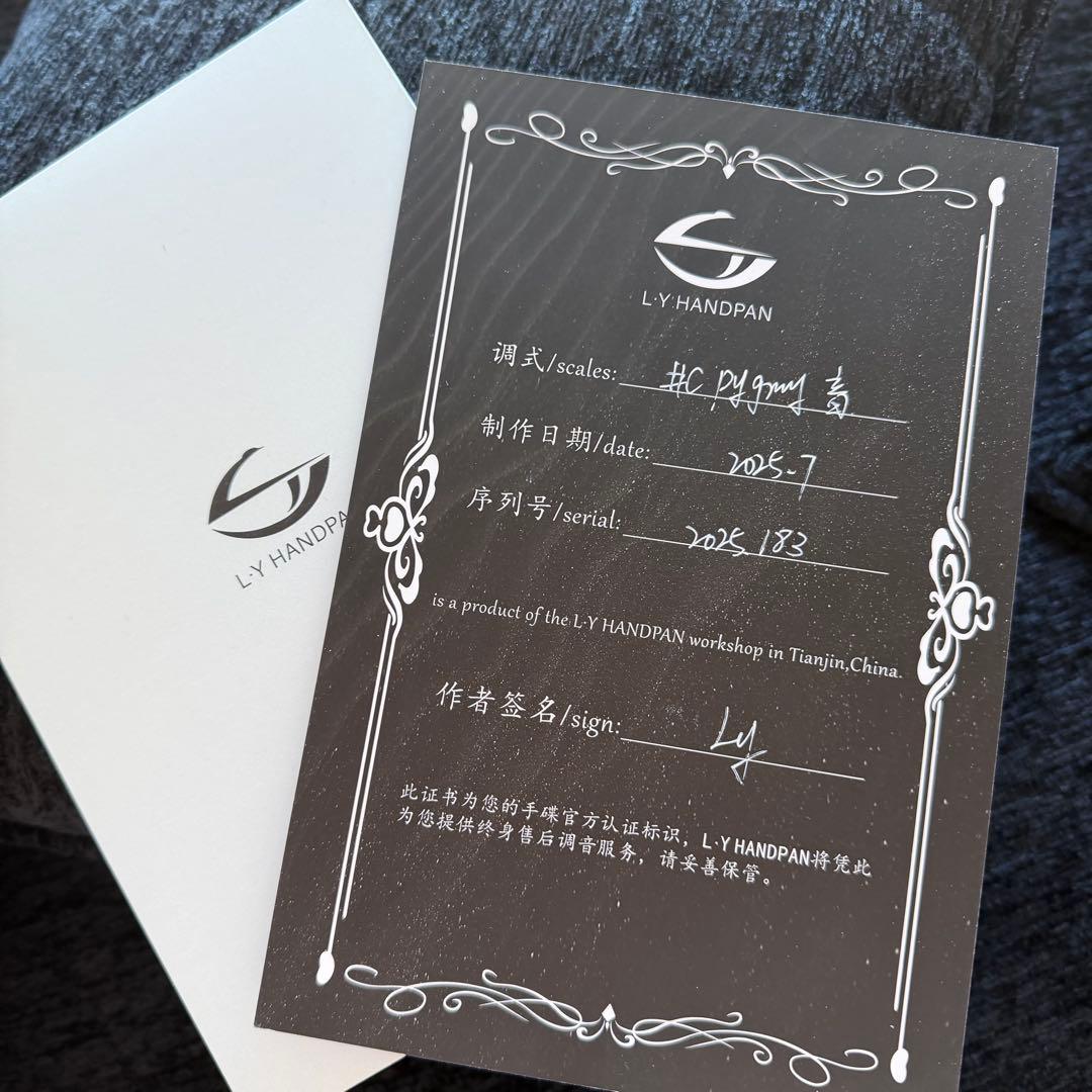 L.Yハンドパン　C# Pygmy 17